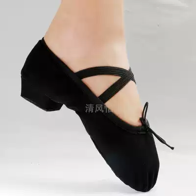 Dance laces and practice shoes Soft-soled belly dance shoes Cat claw shoes Black canvas teacher shoes Practice shoes Two-soled shoes