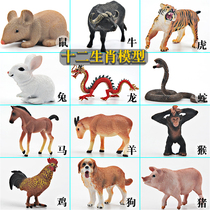 Simulation zodiac model full set of solid animal toys Plastic 12 zodiac early education cognitive ornaments for children