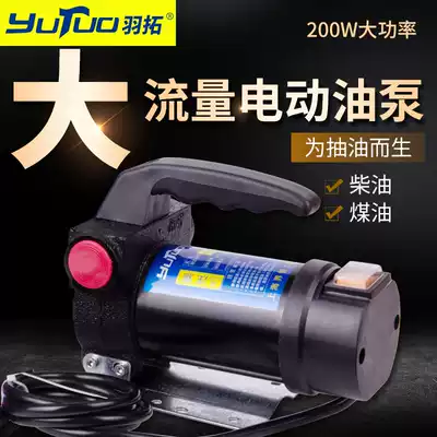 Yutuo Diesel Pump 12v24v220v Electric Diesel Pump Large Suction Positive and Reverse Cast Iron Car Diesel Pump