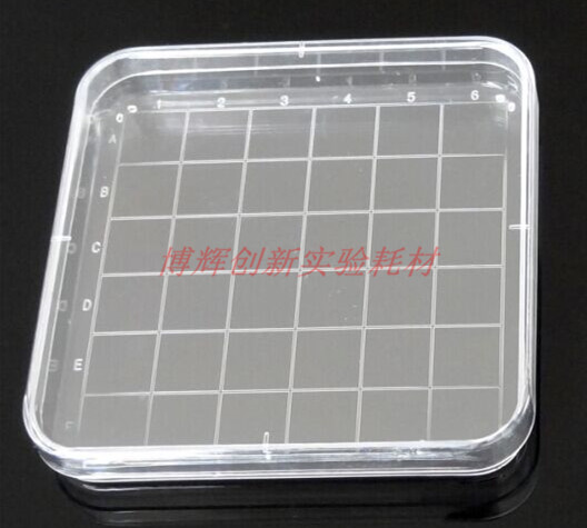 培养皿 塑料培养皿 方形培养皿  100*100mm 10个/袋EO消毒 分格线