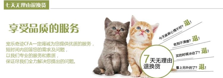 Pet thuốc thiết bị chó mèo thuốc thuốc tẩy giun ướt và khô thuốc ống tiêm kim thuốc - Cat / Dog Medical Supplies Súng tiêm thú y