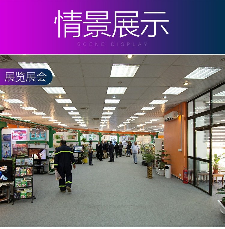 Thảm xám dày chải ảnh triển lãm dự án hoạt động văn phòng đầy đủ cửa hàng dùng một lần sân khấu nhà giá thảm lót sàn