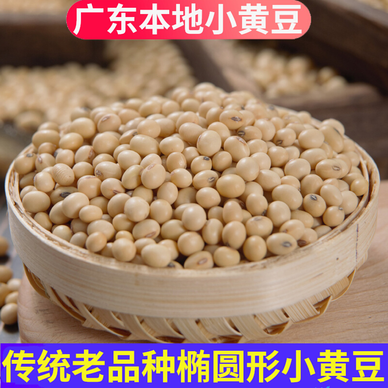 Guangdong farmers own organic soybean non - GM bulk local small grain soybean soybean milk special 500g