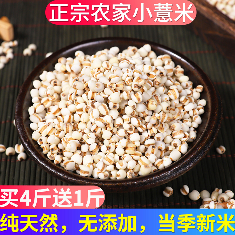2 Jin Zhengzong Small Pearl Barley dehumidified Guizhou Xingren farmhouse self-production of fresh raw and small pearl barley rice new goods New rice medicinal