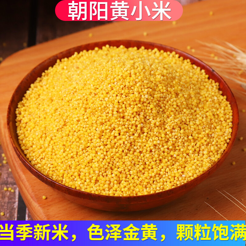 2 catty Grade Chaoyang Xiaomi Yellow millet New rice farmhouse pure natural and small yellow rice miscellaneous grain moon porridge fragrant glutinous rice