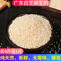 Guangdong farmhouse of special class white sesame raw from seed pure natural peeled peeling organic raw white sesame new stock 500g