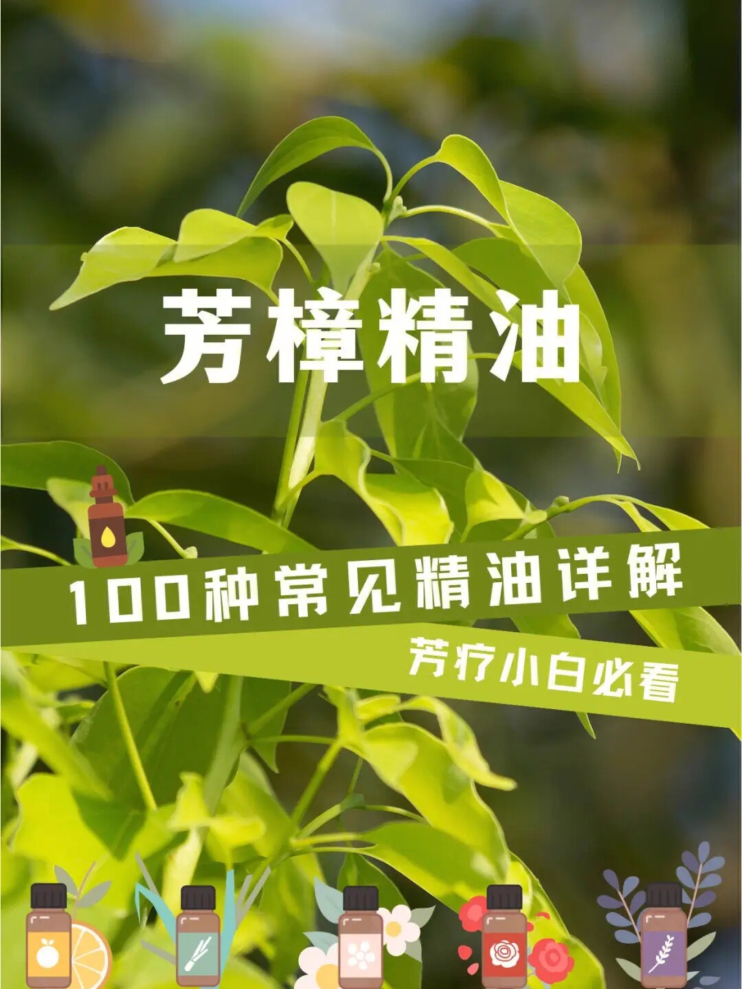 广西桂林樟木樟脑精油芳樟精油厂家直销店的LOGO