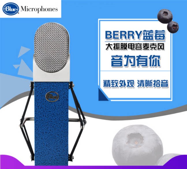 Blue BLUEBERRY blueberry condenser microphone anchor mobile phone live recording microphone equipment full set
