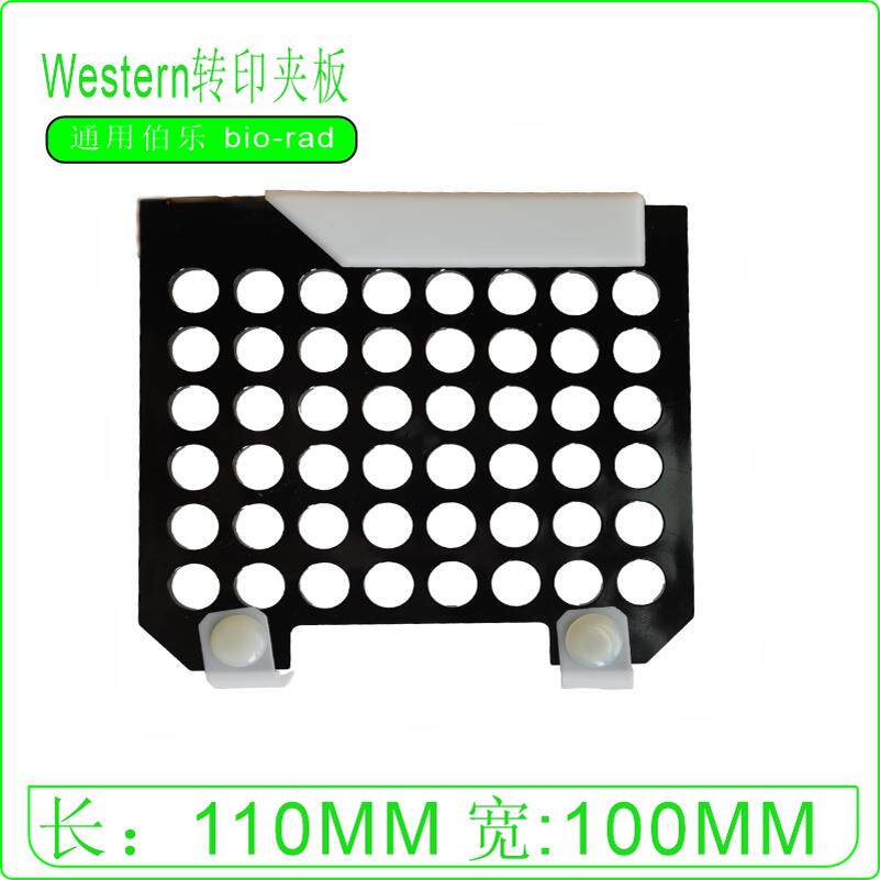 转膜夹伯乐bio-rad 电泳配件 wb转膜夹 转印三明治转移夹1703931