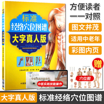 Human acupoint map Human meridian acupoint diagram book manual Chinese medicine acupuncture massage standard meridian acupoint map Large character live version editor Guo Changqing Liu Naigang Guo Yan China Medical Science and Technology Press