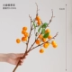 Little Kumquat Single Support