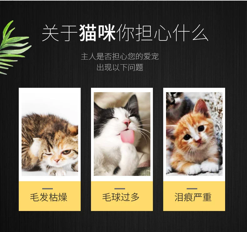Meizi Yuan Cá biển thành thức ăn cho mèo 2,5kg vào thức ăn cho mèo tải 5 kg - Cat Staples