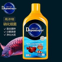 Depont Debon Nitrifying Bacteria King High Concentration Nitrifying Bacterial Solution 400ml 700ML