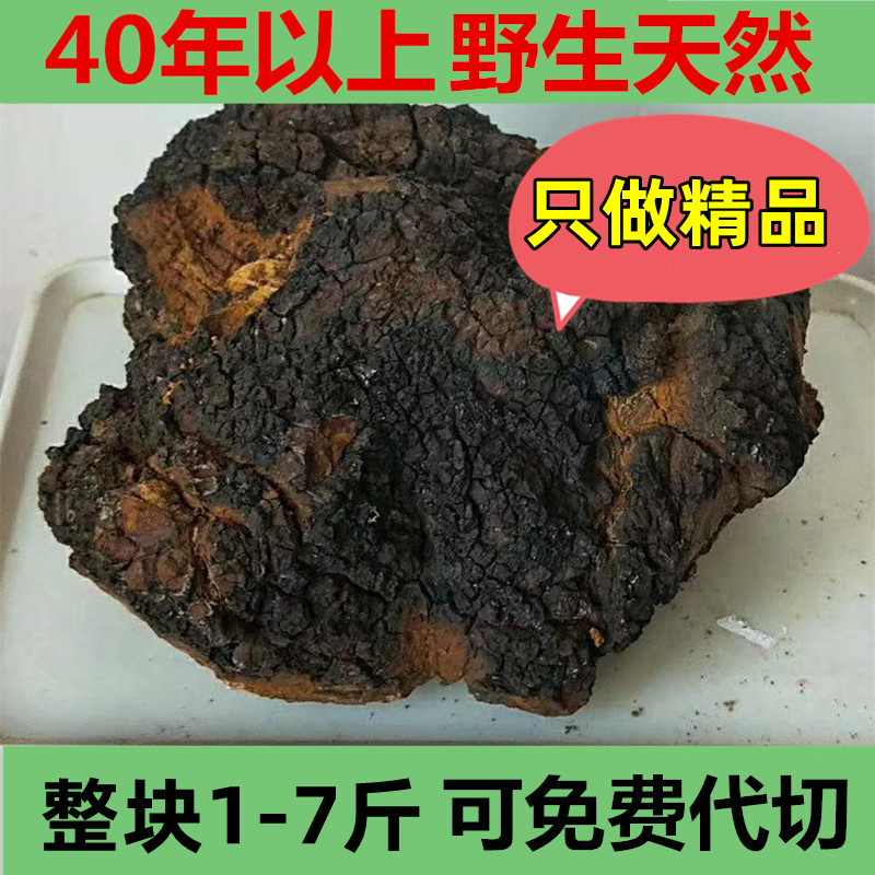Changbai Mountain Wild Birch Antler Flower Tree Banyan Whole Piece of Chinese Antler Large Piece of Birch Antler Authentic Black Gold Birch Tea