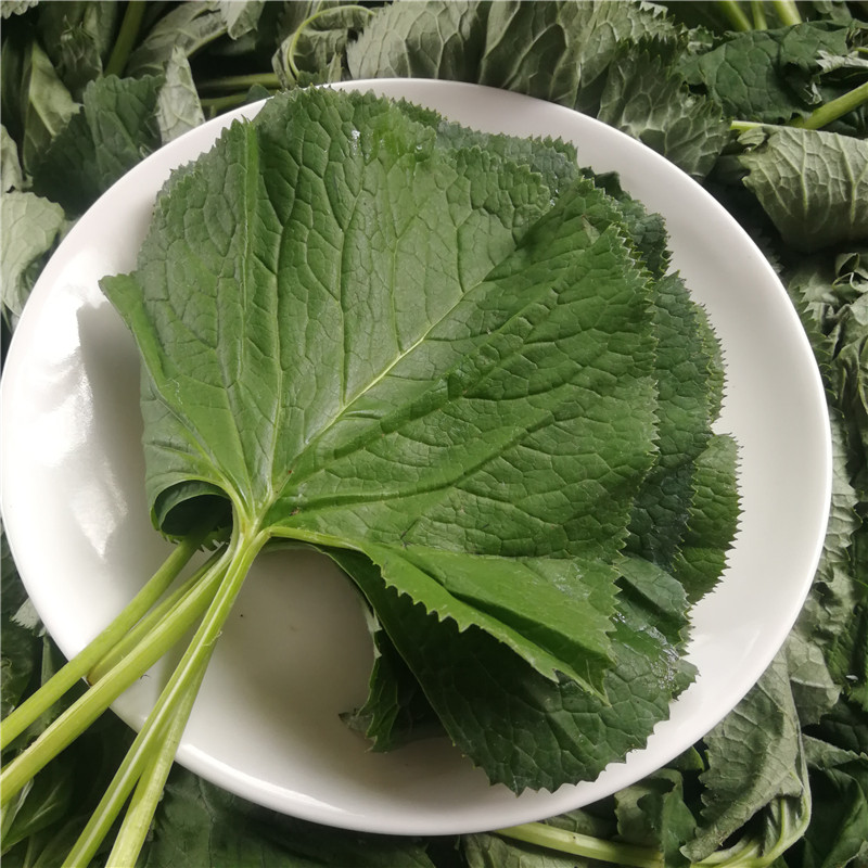 Changbai Mountain Yanbian horseshoe leaves fresh wild vegetables big leaves limited area package rice mixed vegetables