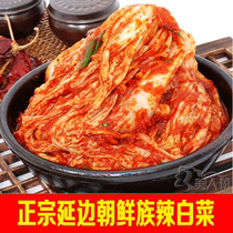 Yanbian kimchi spicy cabbage North Korean specialty pickles origin shipped full of 2 bags limited area