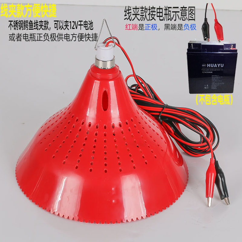 12V battery with pork cooked food fruit braised meat stewed vegetable lamp 48v60V72 volt electric tricycle low voltage LED lamp