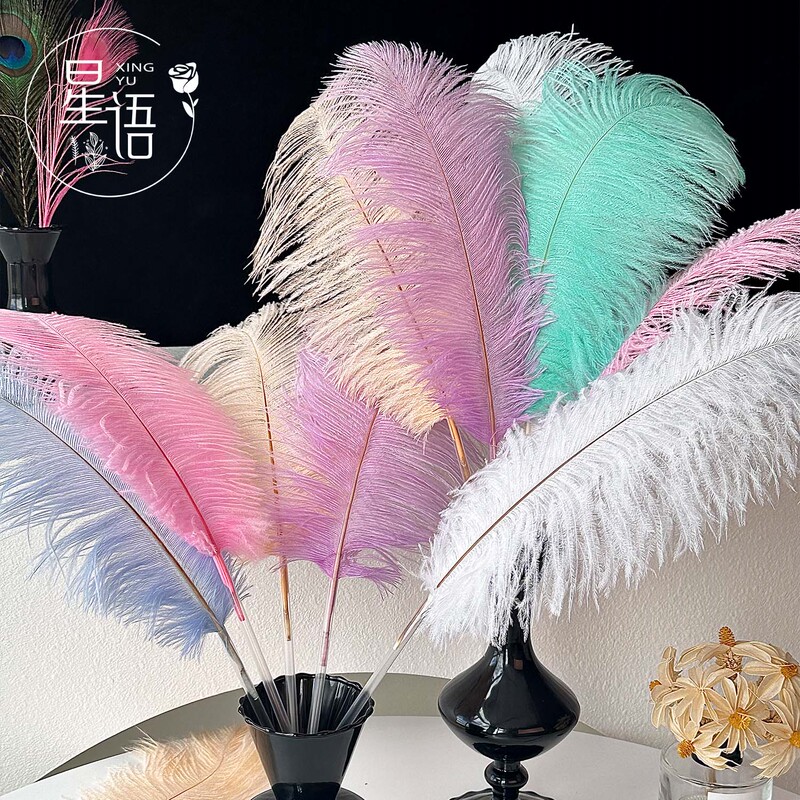 Star Language White Feathers Imported Colorful Ostrich Feathers Peacock Feathers Fresh Flower Bouquet Matching Floral Decoration DIY Materials Star Language White Feathers Imported Colorful Ostrich Feathers Peacock Feathers Fresh Flower Bouquet Matching Floral Decoration DIY Materials