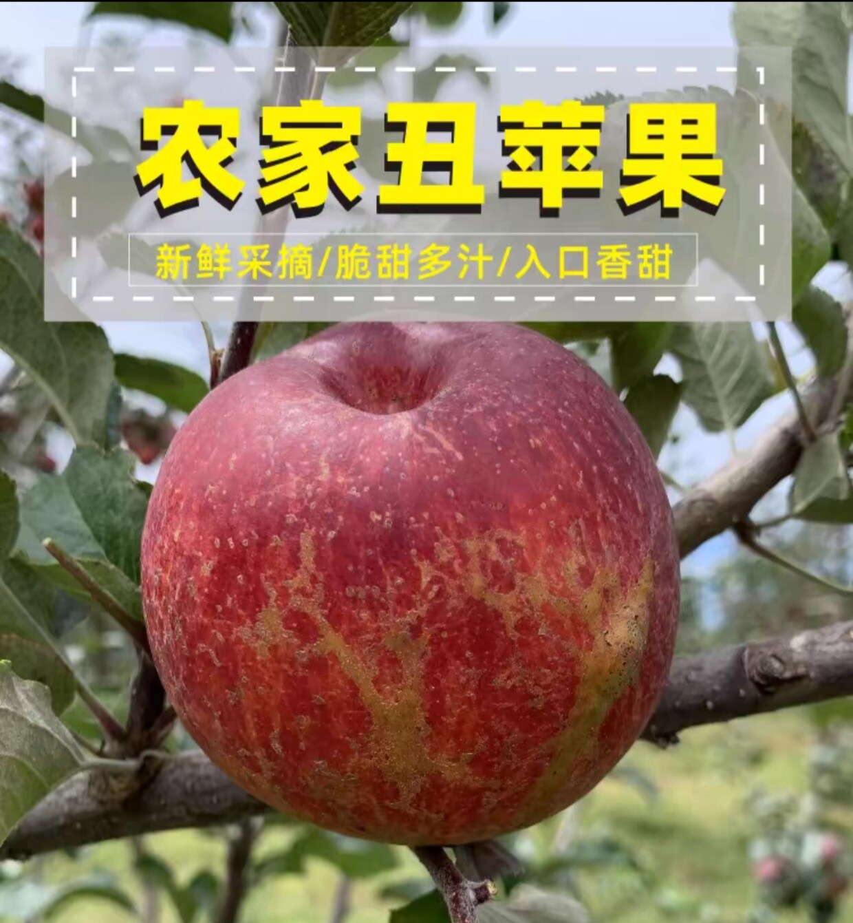 老农家果园的LOGO