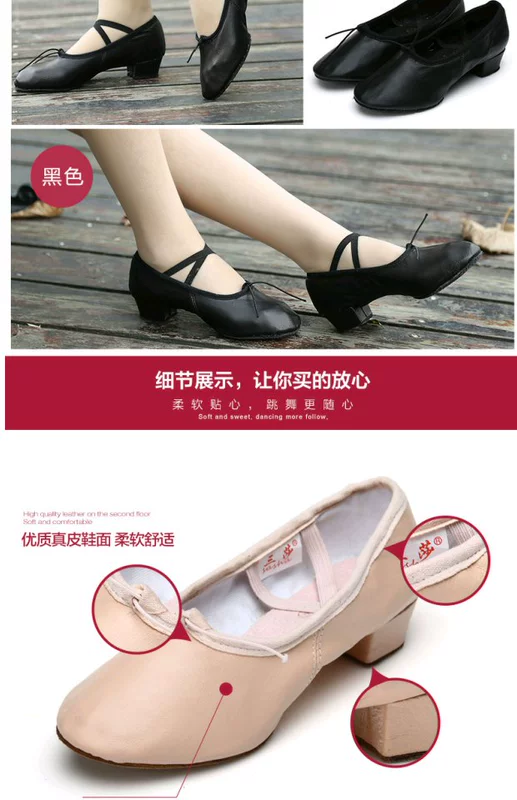 Giày nữ da lộn Sansha đích thực giày vải khiêu vũ dây đai mềm dưới cùng với giày tập ba lê yoga giày khiêu vũ quốc gia - Khiêu vũ / Thể dục nhịp điệu / Thể dục dụng cụ giày khiêu vũ