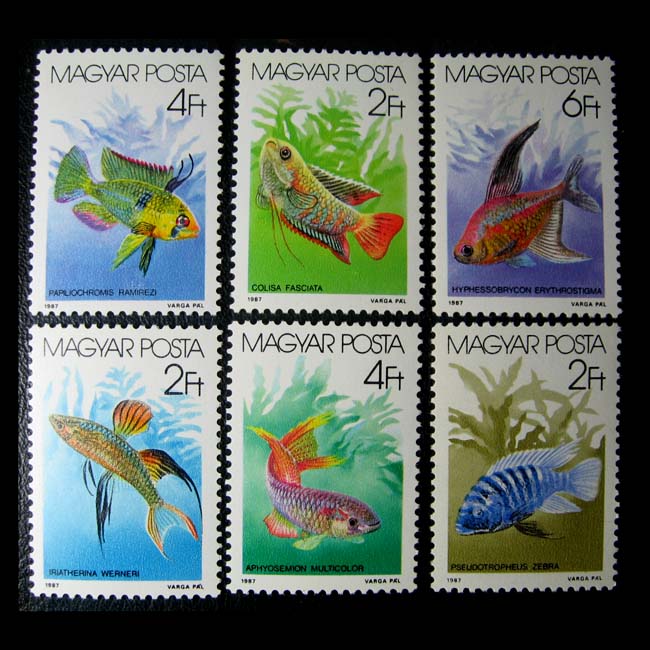 Fish stamps * Hungary 1987 ornamental fish tropical fish 6 brand new *OB3111 *XP