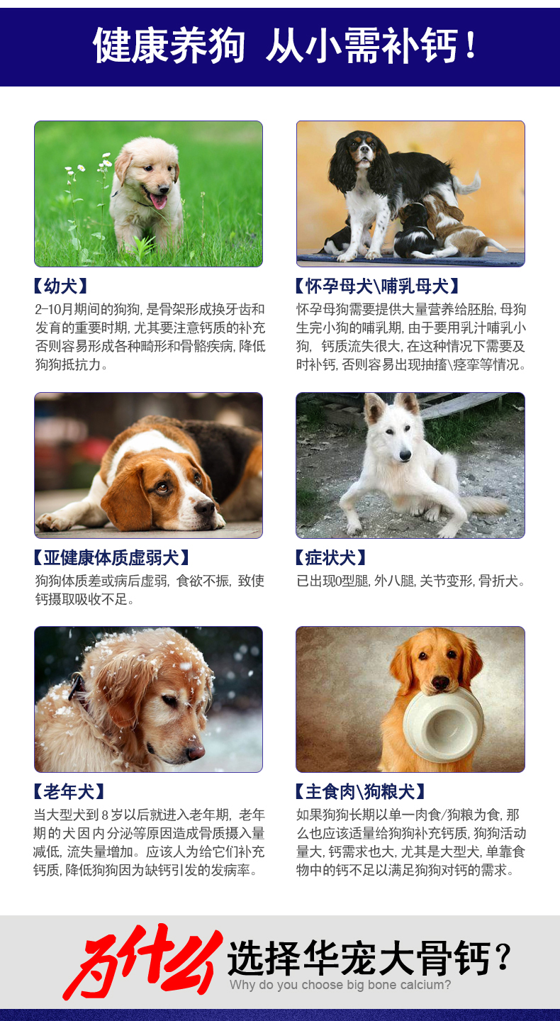 Chó canxi viên chó lớn chó trưởng thành xương chó sửa chữa bột canxi viên Teddy Husky Satsuma Golden Retriever viên canxi 150 viên - Cat / Dog Health bổ sung sữa bột cho mèo sơ sinh	