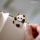 Металлическая закладка Chaoyu cute panda в китайском стиле, высококачественная изысканная награда для студентов, небольшой подарок для практического творчества mini 0