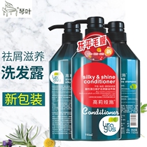 Violin leaf shampoo Golias shavings Dandruff Shampoo SHAMPOO-CLEAR PERFUME-TYPE HAIR CONDITIONER SHAMPOO WOMAN BIG BOTTLE