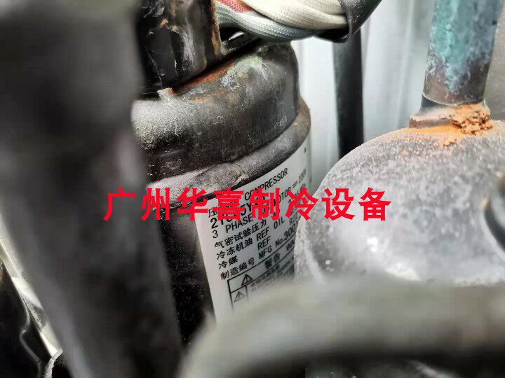 2YC45YXD original brand new big gold frequency conversion compressor