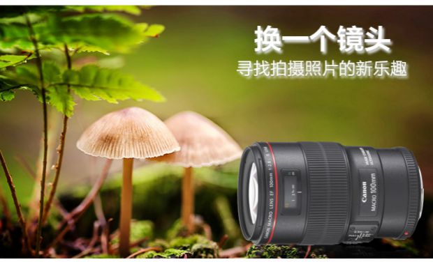 Canon 100mm ống kính macro mới Ống kính Budweiser DSLR vòng tròn đỏ cố định tiêu cự chân dung 100mm f2.8L giá thấp