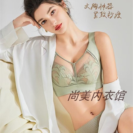 Authentic Feijing Second Slimming 067 Exquisite Thin Adjustable Push-Up Breast Support Second C Big Breast Revealing Small Pressure-Free Bra
