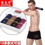 4 món quà đóng hộp đồ lót nam boyshort cotton 100% cotton thể thao thoáng khí trẻ trung eo giữa bốn góc phiên bản Hàn Quốc do lot nu