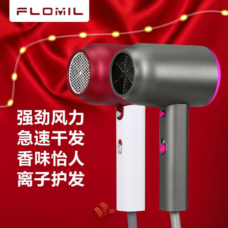 110V hair dryer to study abroad in the United States, Japan and Canada to study negative ion portable hammer hair dryer