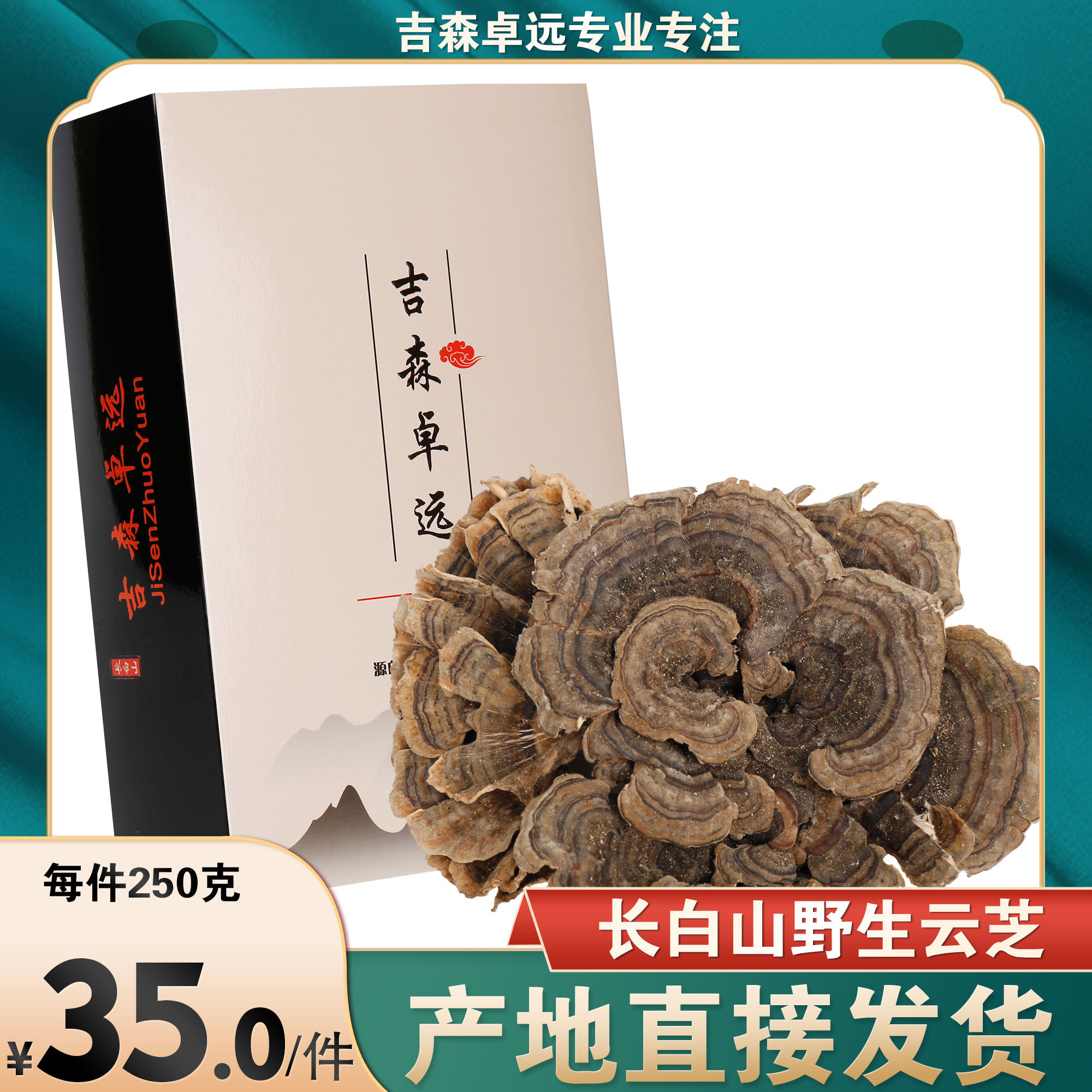 Changbai Mountain Wild Yunzhi Whole Ganoderma Lucidum guaranteed Nyingchi 5 pieces