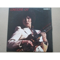 Kazumi Watanabe - Lonesome Cat Kazumi Watanabe Fusion Vinyl LP Record