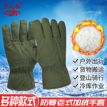 Antifreeze cold storage special cotton hand stuffy cold-proof gloves pure cotton winter thickening and velvet warm old-fashioned labor protection gloves