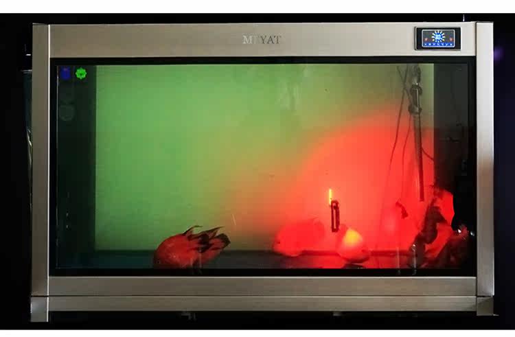 Eclairage pour vélo COOLCHANGE - Taillights - Ref 2400152 Image 25