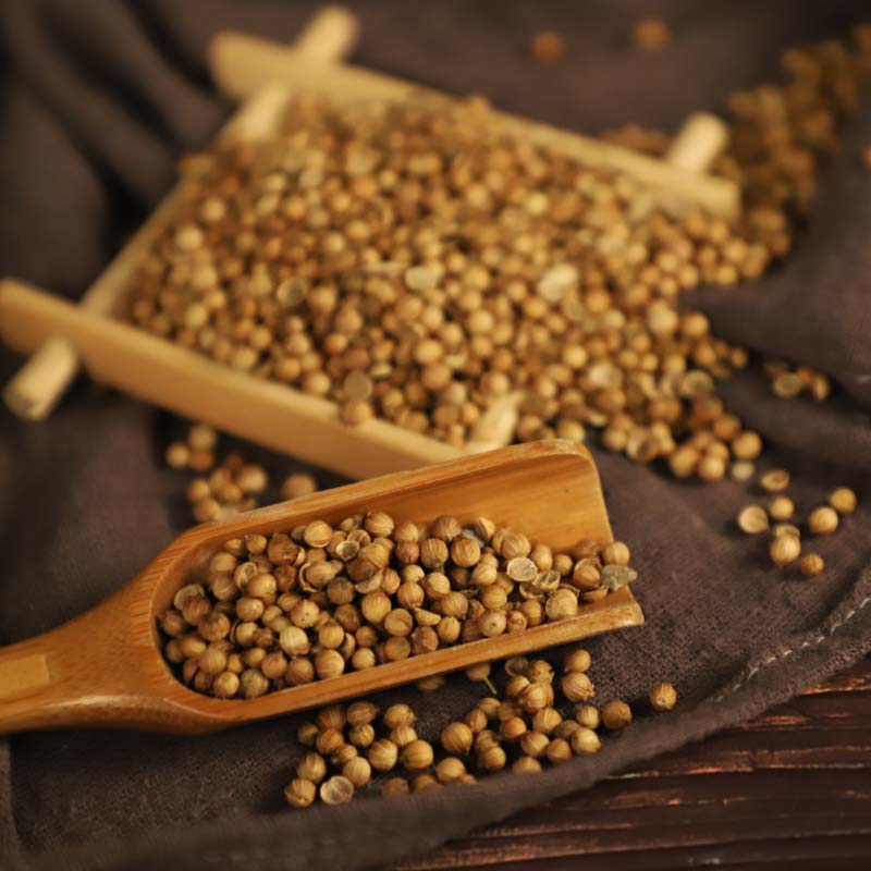 Casual seed dry coriander seed powder coriane flour flour seed seed seed with four seasons spices