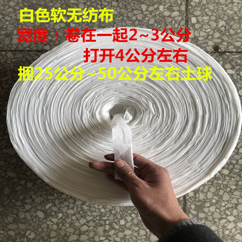 Non-woven cloth covered with soil balls, seedlings, soil balls, fruit trees, branches, ropes, cloth strips, canvas belts, white