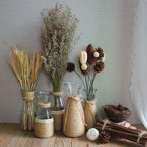 Dried flower vase Handmade hemp rope vase Transparent small vase Living room water flowers flower arrangement net red flower vase ornaments