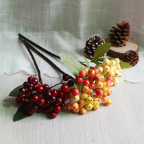 Carolyn fruit berry fortune fruit Shooting props placement jewelry simulation fruit fruit simulation floral art