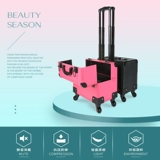 Техник по массажу пешеходной бабы