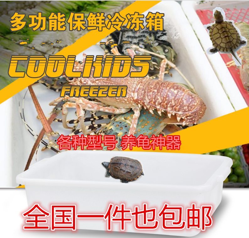 Plastic frozen basin refrigerated basin turtle cylinder large turtle box white breeding box tank aquarium turtle box