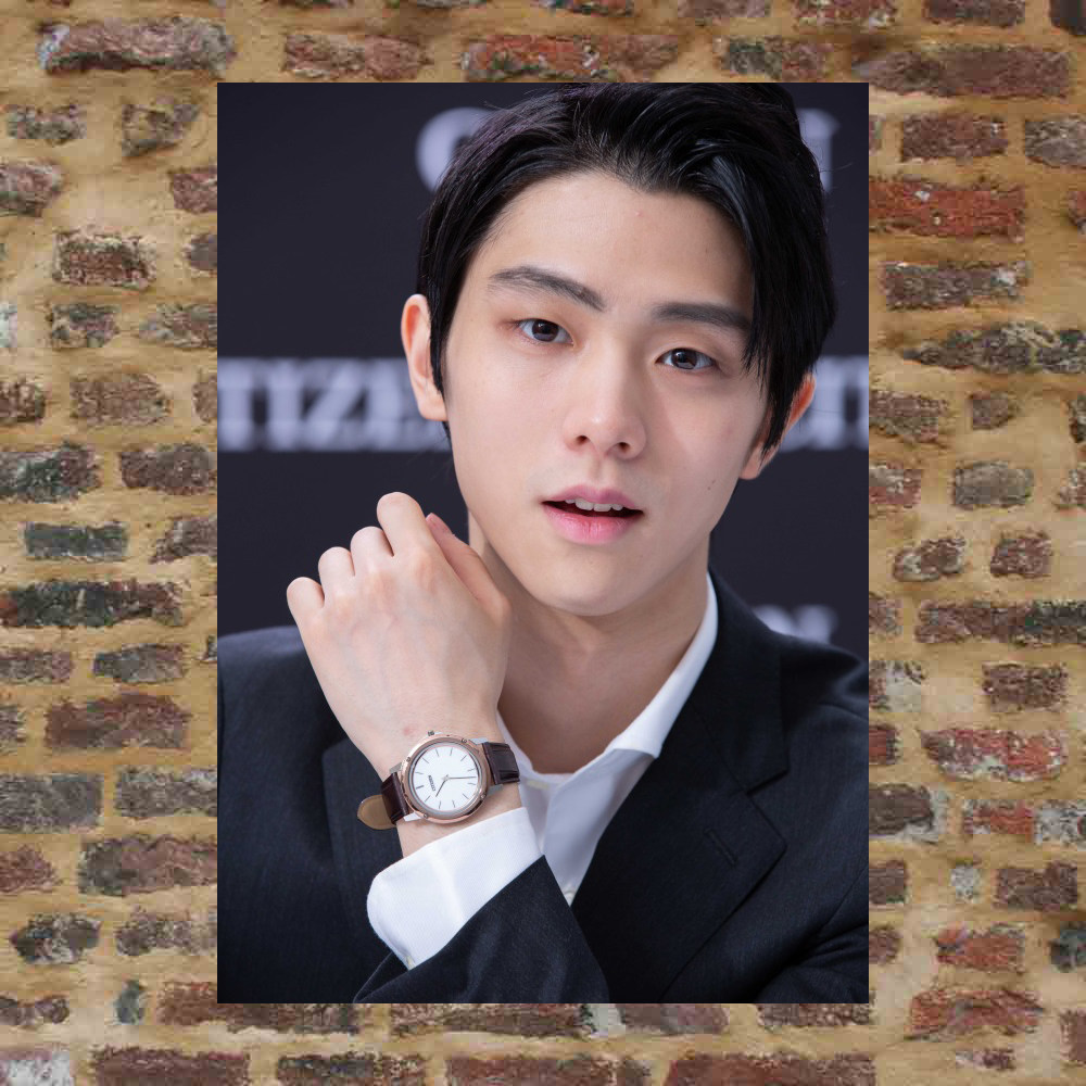 Plume knot posters custom-made ETK482 A total of 298 full 8 photos of A3 photos surrounding plums