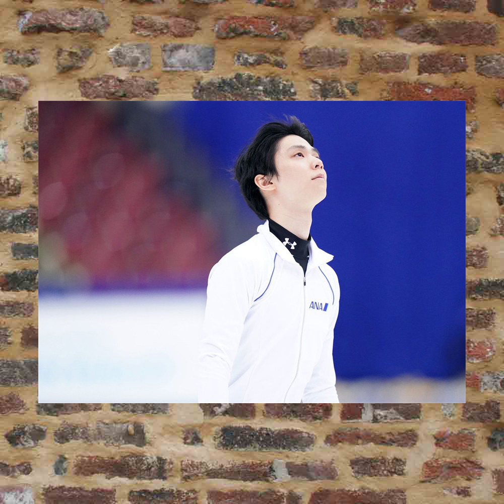 Plume knot posters custom-made ETK237 A total of 298 full 8 photos of A3 photos surrounding plums