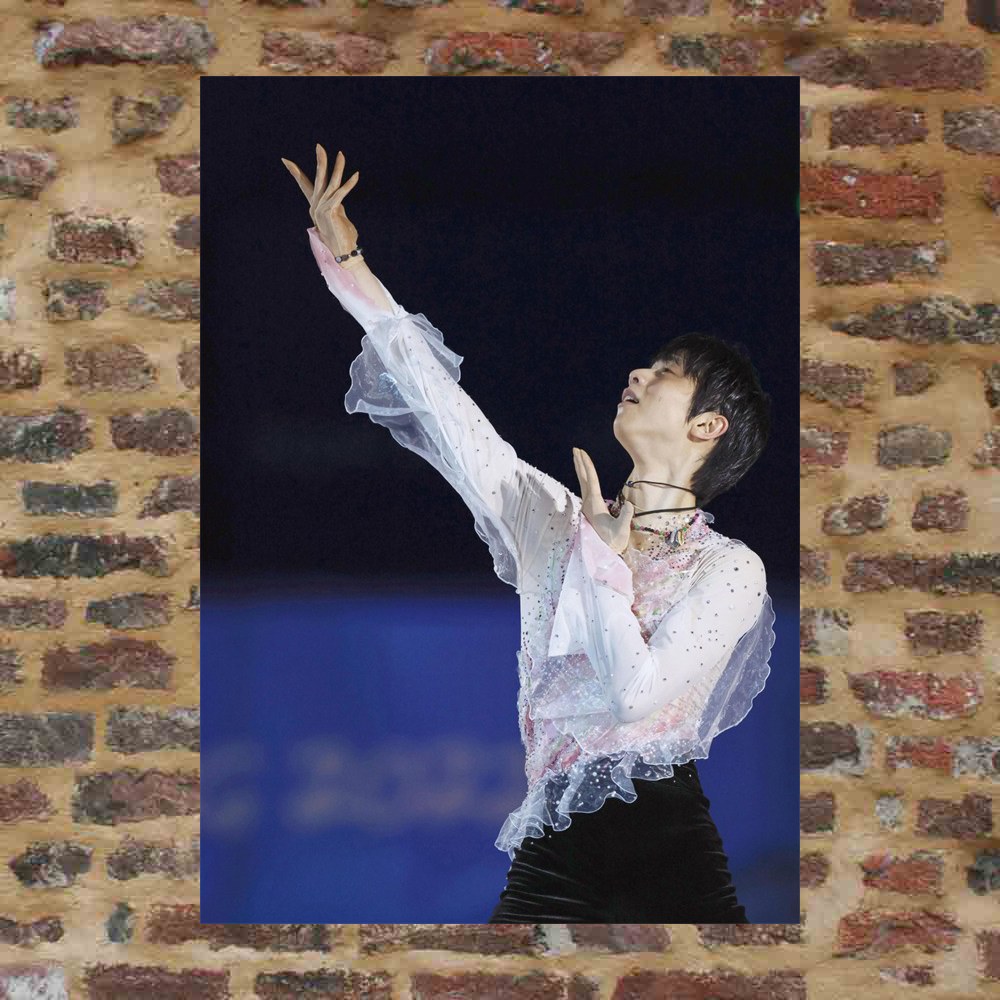 Plume knot posters custom-made ETG037 A total of 298 full 8 photos of A3 photos surrounding plums