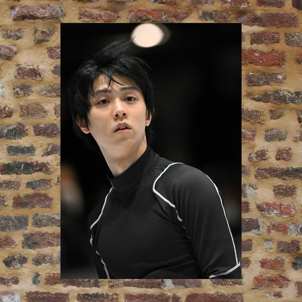 Plume knot posters custom-made ETG265 A total of 298 full 8 photos of A3 photos surrounding plums