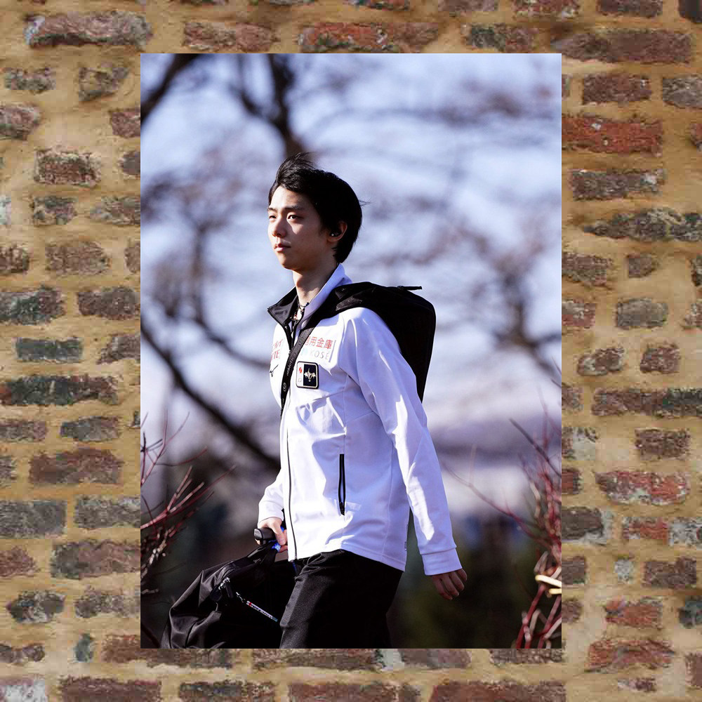 Plume knot posters custom-made ETK285 A total of 298 full 8 photos of A3 photos surrounding plums