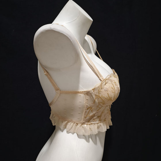 性感鱼骨胸衣上薄下厚小胸聚拢内衣蕾丝薄款平胸吊带美背文胸塑身