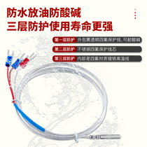 Sonde de détecteur de température de platine à haute température sonde Twin 10 anti-corrosion anti-corrosive résistance thermique Fast P thermocouple 0